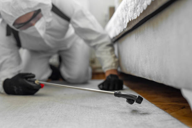 Professional Bed Bug Control technician working in Coos County County, NH